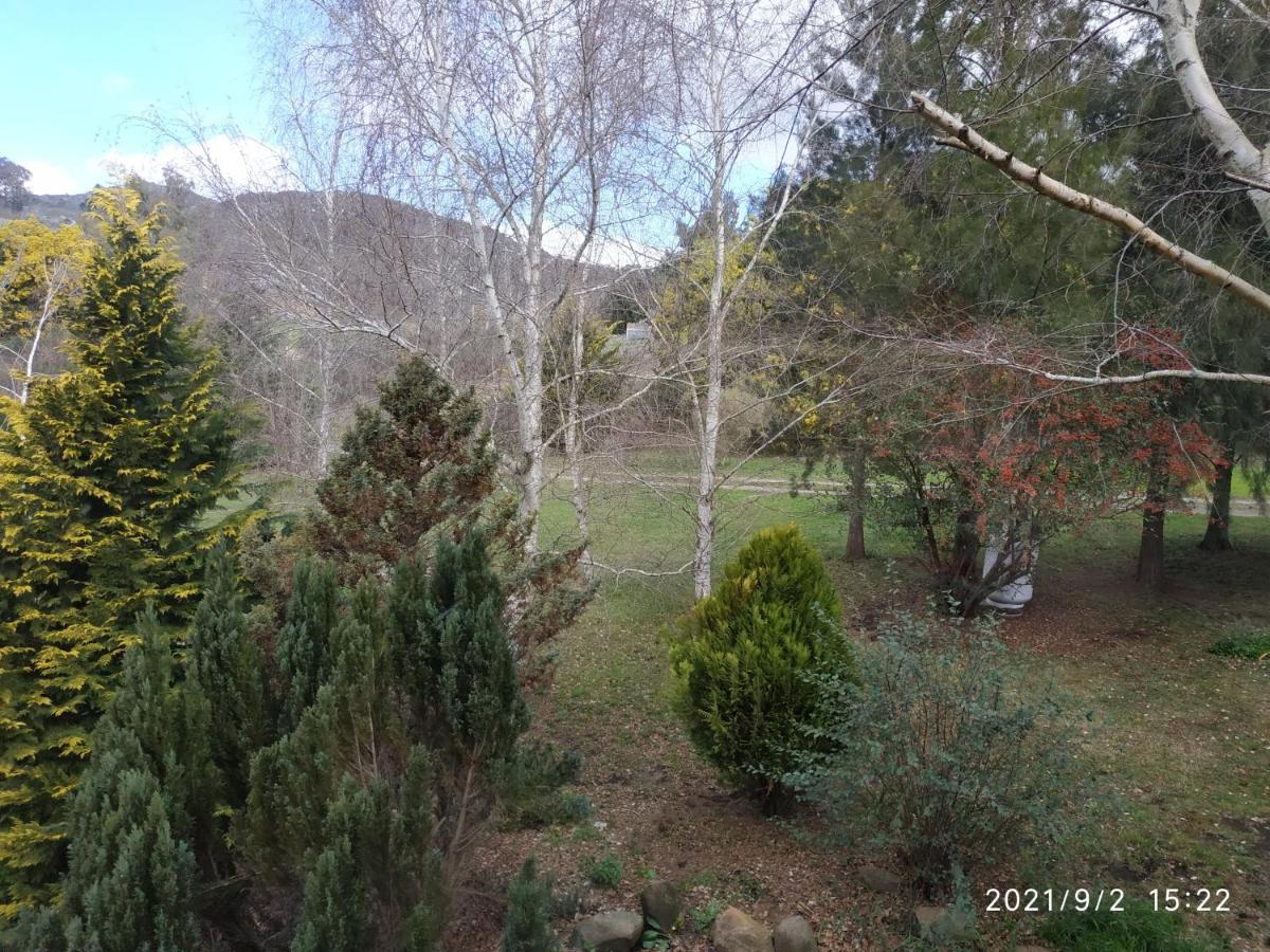 Golondrinas * Tandil