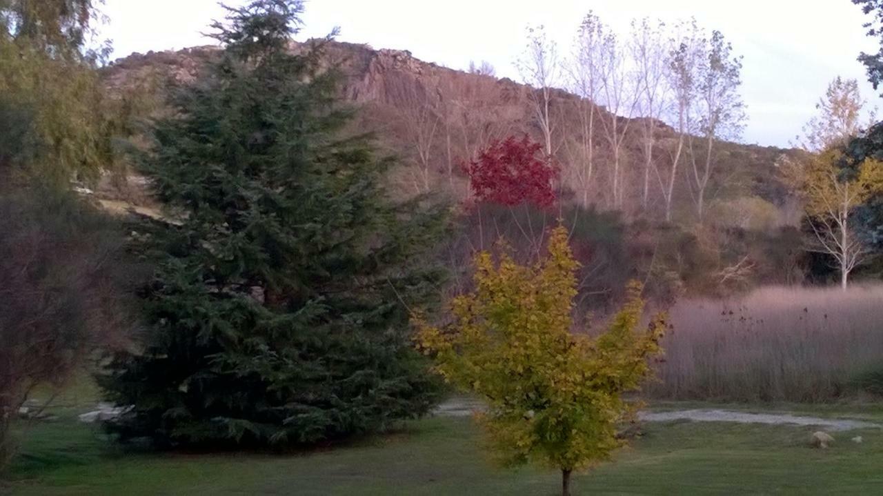 Golondrinas * Tandil