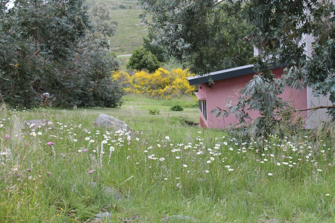 Golondrinas * Tandil